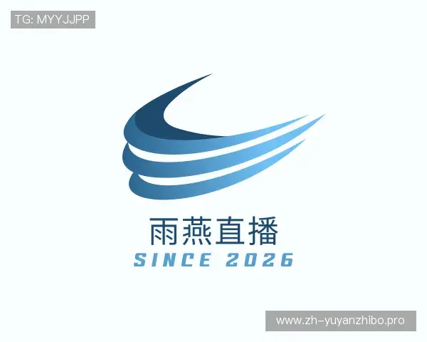 关于雨燕直播